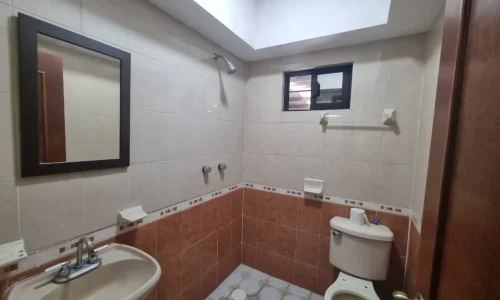 baño con luz natural y ventanales bodega techada en renta col la laguna