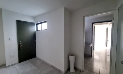 entrada con luz natural y puerta oscurecida