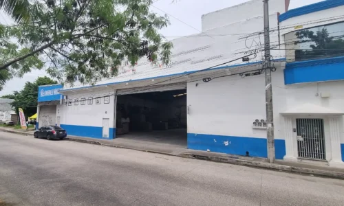 local comercial con luz natural bodega techada en renta col la laguna